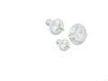 Set de 2 emporte-pièces à piston "3 feuilles de houx"
