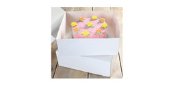 Funcakes Boîte à gâteau 32x32x11.5cm 2 pièces