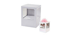 boîte à cake pops 2 pcs