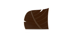 Moule chocolat "Feuille" pour Bûche